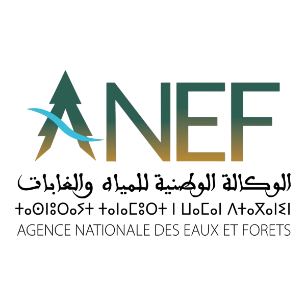 ANEF