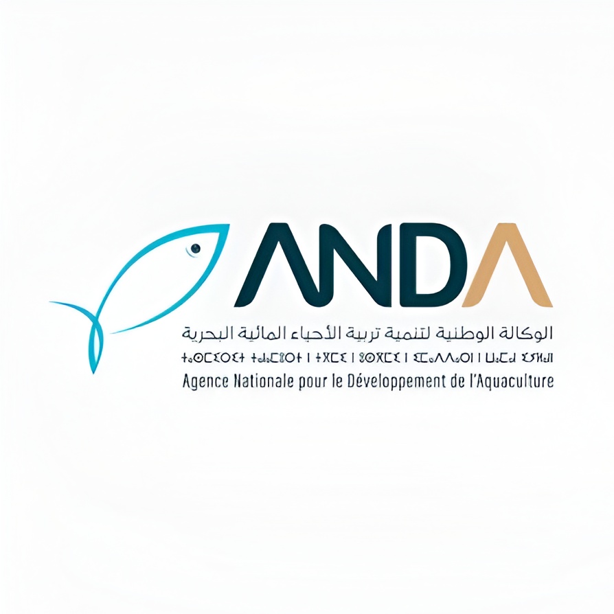 ANDA