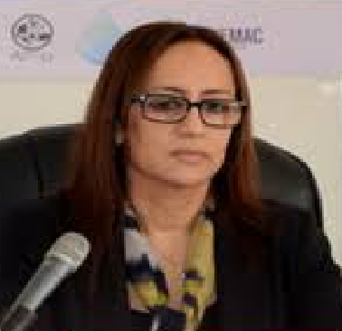 Rguibi Idrissi Hamid